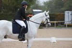 British Dressage portfolio