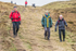 Black Combe-1568