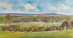 View from Haddenham Rd Wilburton
