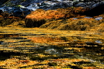 20100827_0203_2