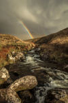 About to get Wet, Brandon Creek