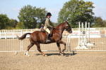Class 44 Riding Club Horse/ Pony portfolio