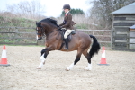 SBM_007091