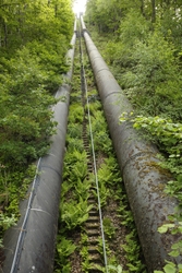 Fragile Land 1 portfolio