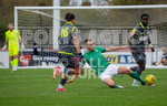 GFC v THATCHAM TOWN portfolio