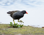20140427-3K8A0631