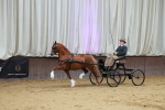 SBM_000541
