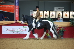 SBM_09738
