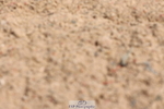 240706A-110138-00698