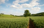 Towards Easthope Mill