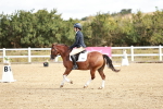 SBM_009924