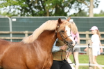 SBM_00671