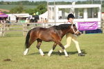 SBM_10359