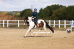 SBM_009701