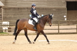 SBM_002290