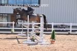 BPP_7354