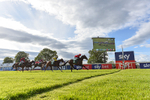 310526-Race 6-Mountain Road-9518