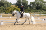 SBM_003454