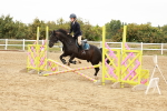 SBM_007387