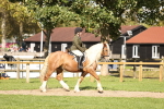 SBM_26329