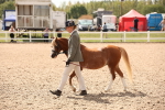 SBM_04611