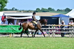 SBM_17445