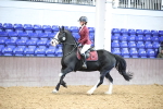 SBM_002682