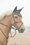 230902A-094532-00214_Cls 1 Pony Intro 70cm