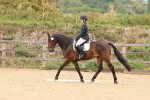 SBM_001185