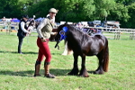 SBM_09513