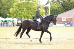 SBM_14517