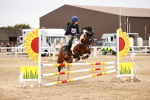 SBM_009009