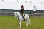 SBM_08713