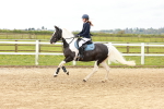 SBM_004209
