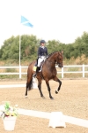 SBM_006005