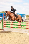 SBM_006601