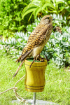 0628 IMG_6614