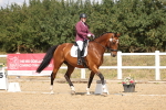 SBM_009776