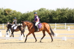 SBM_002896