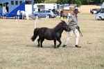 WJ6_6811