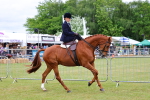 SBM_02942