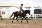 SBM_00550