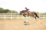 SBM_023973