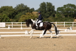 SBM_006500