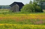 Siemianówka area, Poland