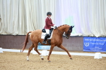 SBM_004406