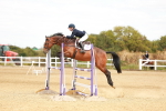 Class 4 - Senior British Newcomers - 1.10m portfolio