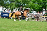 SBM_07904