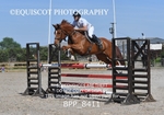 BPP_8411