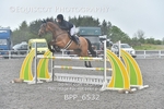 BPP_6532
